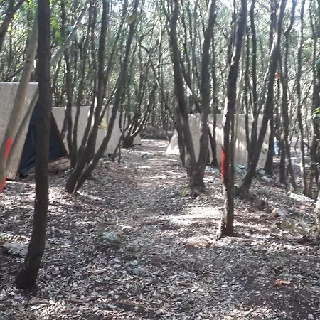 Robinzon Kamp Val