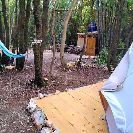Robinzon Kamp Val * Kavran
