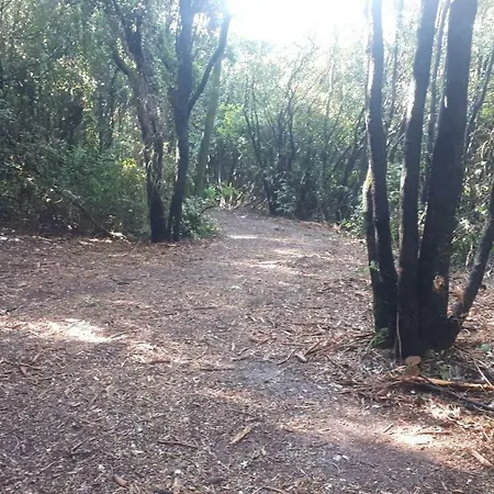 Robinzon Kamp Val Kavran