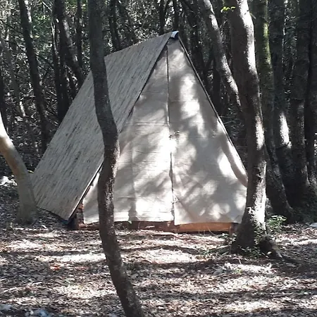 Robinzon Kamp Val * Kavran
